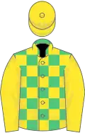 Emerald green and yellow check, yellow sleeves and cap