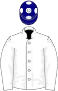 WHITE, White sleeves, Navy Blue cap, white spots