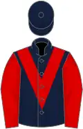 Dark blue, red chevron and sleeves