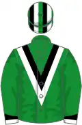Green, black and white chevron and cuffs, green, black and white striped cap