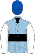 Light blue, black hoop, white sleeves, royal blue cap