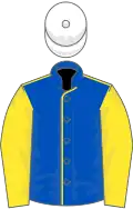 ROYAL BLUE, yellow seams, yellow sleeves, white cap