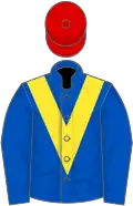 ROYAL BLUE, YELLOW chevron, RED cap
