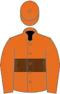 Orange, brown hoop