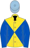 Yellow and royal blue diabolo, royal blue sleeves, light blue cap