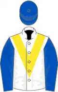 White, yellow chevron, royal blue sleeves and cap