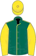 Dark Green, Yellow seams, sleeves and cap