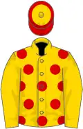 Gold, red spots, gold sleeves, cap halved horizontally