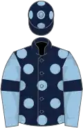 Dark blue, light blue spots, light blue sleeves, dark blue armlets