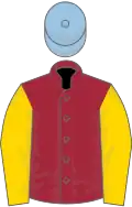 Maroon, gold sleeves, light blue cap