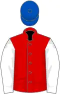 Red, white sleeves, royal blue cap