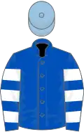 Royal blue, white hooped sleeves, light blue cap