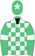 Emerald green and white check, emerald green sleeves, white armlets and star on cap