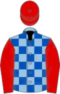 Light and royal blue check, red sleeves and cap