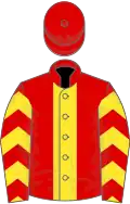 Red, yellow panel, yellow chevrons on sleeves, red cap