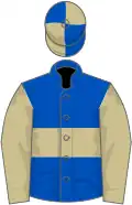 Royal blue, beige hoop, beige sleeves, quartered cap