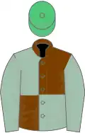 Chocolate and cambridge blue (quartered), blue sleeves, emerald green cap