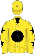 Yellow, black disc, yellow sleeves, black stars, yellow cap