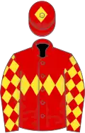 Red, yellow triple diamond, diamonds on sleeves, red cap, yellow diamond