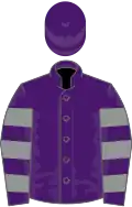 Purple, grey hooped sleeves