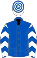 Royal blue, white sleeves, royal blue chevrons, white and royal blue hooped cap