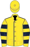 Yellow, dark blue seams, hooped sleeves, yellow cap