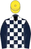 Dark blue and white checked, blue sleeves, yellow cap