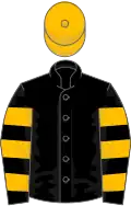 Black, amber hooped sleeves, amber cap