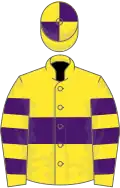 Yellow, purple hoop, hooped sleeves, quartered cap