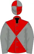 Red and grey diabolo, grey sleeves, quartered cap