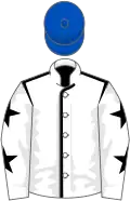 WHITE, BLACK seams, WHITE sleeves, BLACK stars, ROYAL BLUE cap