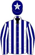 Navy, White Stripes, White Stripes On Sleeves, White Star On Navy Cap