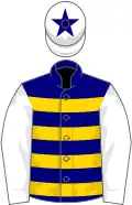 Navy blue and gold hoops, white sleeves, white cap, navy blue star
