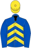 Royal blue and yellow chevrons, royal blue sleeves, yellow cap