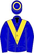 Blue, yellow chevron and hoop on cap