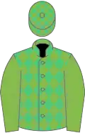 Emerald green and light green diamonds, light green sleeves, check cap