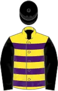 YELLOW and PURPLE HOOPS, black sleeves and cap