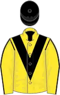 Yellow, black chevron, black seams on sleeves, black cap