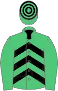 Emerald green and black chevrons, emerald green sleeves, hooped cap