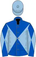 Royal blue and light blue diabolo, diabolo on sleeves, light blue cap