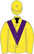 Yellow, purple chevron