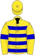 Yellow, blue hoops, armlet on sleeves, yellow cap