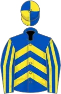 Royal blue, yellow chevrons, striped sleeves, quartered cap