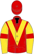Red, yellow chevron, yellow sleeves, red armlets