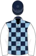 Dark blue and light blue, check, white sleeves, dark blue cap