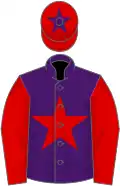 Purple, red star, red sleeves, red cap, purple star