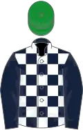 Dark blue and white check, blue sleeves, green cap