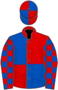 Red and royal blue (quartered), checked sleeves
