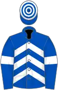 Royal blue and white chevrons, white armlet, hooped cap