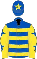 Royal blue and yellow hoops, yellow sleeves, royal blue stars, royal blue cap, yellow star